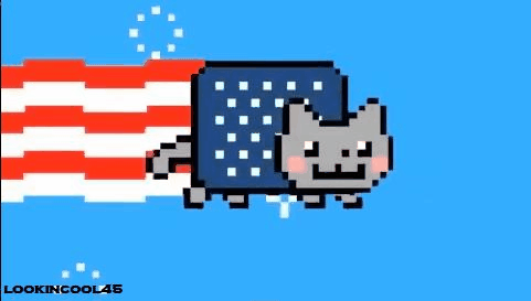 American Nyan